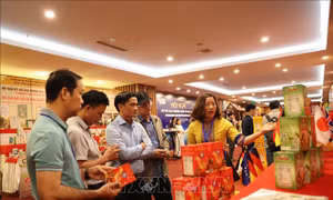 Hợp tác, kết nối giao thương quốc tế trong ngành hàng cà phê