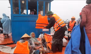 Kinh nghiệm phòng tránh bão ở xã đảo Tam Hải