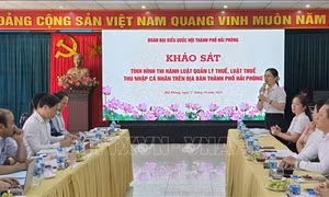 Các chính sách thuế cần minh bạch, dễ hiểu, dễ tiếp cận