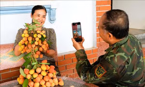 Thúc đẩy tiêu thụ vải thiều trên môi trường số