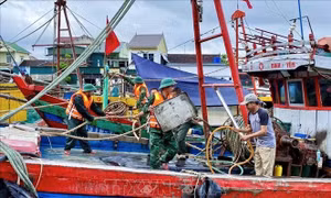 Nghệ An cấm tàu thuyền ra khơi trong bão số 11