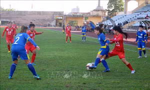 Bảy đội bóng tham dự Giải bóng đá Nữ Cúp quốc gia 2021