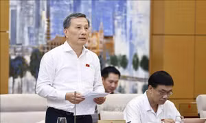 Công nghiệp công nghệ số đóng góp lớn vào kinh tế đất nước
