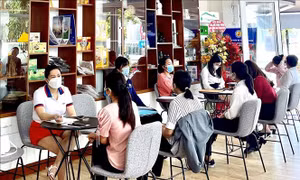 Ninh Thuận: Nhiều giải pháp hỗ trợ người lao động khôi phục sản xuất, kinh doanh