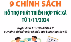 9 chính sách hỗ trợ phát triển hợp tác xã từ 1/11