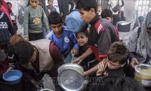 Liên hợp quốc kêu gọi hành động để giúp đỡ người dân Gaza