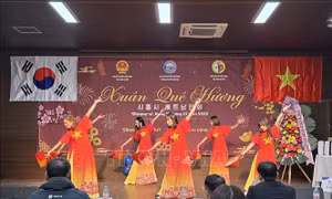 Ấm áp Lễ hội Xuân Quê hương 2025 của bà con người Việt tại xứ Hàn