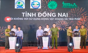 Nói không với sử dụng động vật hoang dã trái phép