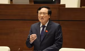 Chánh án Nguyễn Hòa Bình: 'Sẽ có phán quyết đúng đắn' vụ xét xử bác sĩ Hoàng Công Lương