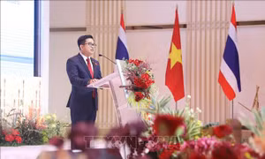 Việt Nam đã chứng minh sức mạnh của tinh thần đoàn kết, lòng dũng cảm và sự hy sinh to lớn