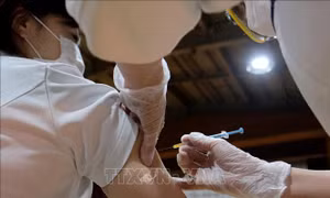 Nhật Bản hỗ trợ tài chính cho người gặp vấn đề sức khỏe sau khi tiêm vaccine