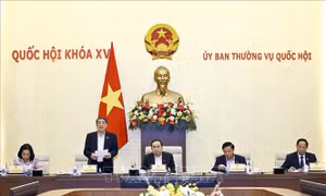 Trình Quốc hội xem xét giảm 2% thuế giá trị gia tăng