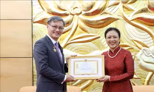 Trao tặng Kỷ niệm chương 'Vì hòa bình hữu nghị giữa các dân tộc' cho Đại sứ Lào tại Việt Nam