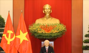 Tổng Bí thư Nguyễn Phú Trọng điện đàm với đồng chí Miguel Diaz-Canel