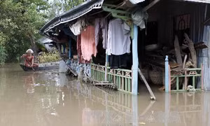 Lũ đầu nguồn sông Cửu Long lên nhanh, nguy cơ ngập lụt