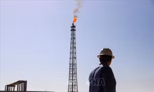 Giá dầu hướng tới tuần tăng thứ hai liên tiếp