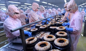 Nghị quyết 01/NQ-CP về thực hiện Kế hoạch phát triển kinh tế - xã hội năm 2019