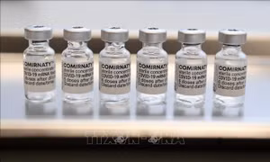 Kết quả thử nghiệm vaccine ngừa cúm và COVID-19 của Pfizer và BioNTech chưa đạt hiệu quả mong muốn 