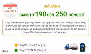 Giá xăng giảm từ 190 đến 250 đồng/lít