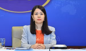 Hội thảo nâng cao năng lực chuẩn bị cho Năm APEC Việt Nam 2027