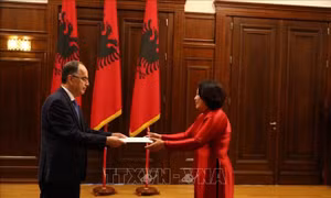 Thúc đẩy quan hệ hợp tác Việt Nam - Albania lên tầm cao mới