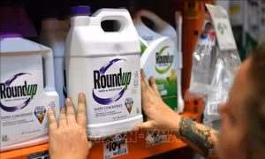 Công ty hóa chất Bayer bị phạt 3,5 triệu USD trong vụ kiện mới nhất 