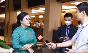 Bên lề Quốc hội: Cần làm rõ nhiều nội dung khi kéo dài quy định thí điểm xử lý nợ xấu