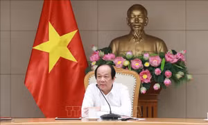 Tổ công tác của Thủ tướng nắm bắt khó khăn của doanh nghiệp do ảnh hưởng của dịch COVID-19