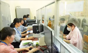 Kết luận của Ban Bí thư về việc chấn chỉnh lề lối làm việc, nâng cao hiệu quả hoạt động của hệ thống chính trị