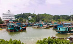 Quảng Ninh: Phòng chống mưa lũ, sạt lở đất do hoàn lưu bão số 2