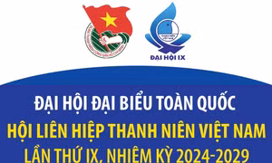 Đại hội đại biểu toàn quốc Hội Liên hiệp thanh niên Việt Nam lần thứ IX
