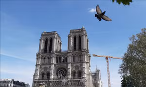 Nhà thờ Đức Bà Paris mở cửa trở lại trong cảm xúc, gió và mưa