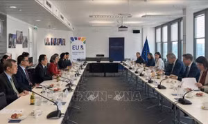 ASEAN - EU thúc đẩy chủ nghĩa đa phương và cải tổ LHQ 