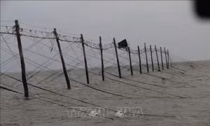 Nghề đóng đáy hàng khơi ở Mỹ Long,Trà Vinh - Bài 2: Quyết tâm giữ nghề