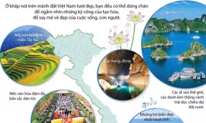 Việt Nam - Vẻ đẹp bất tận