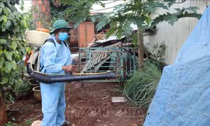 Liên tục tăng số ca sốt xuất huyết tại Long An