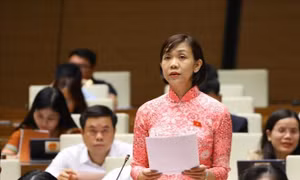 Cử tri Lâm Đồng kiến nghị sớm khắc phục chồng chéo trong công tác quy hoạch