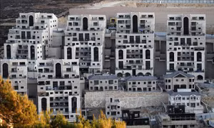 Đức khẳng định lập trường về định cư của Israel tại vùng lãnh thổ Palestine 