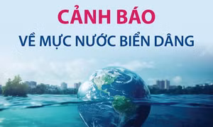 Cảnh báo về mực nước biển dâng