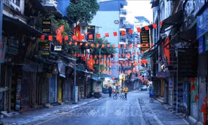 Có một Hà Nội tĩnh lặng sáng đầu xuân mới