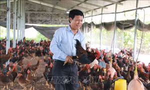 Bí quyết trở thành tỷ phú của nhà nông 49 tuổi