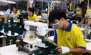 VCCI gửi thư tới Bộ trưởng Thương mại Hoa Kỳ kêu gọi tạm hoãn việc áp thuế đối ứng