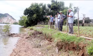 Tình trạng sạt lở bờ sông ở Quảng Trị đe dọa đời sống dân sinh
