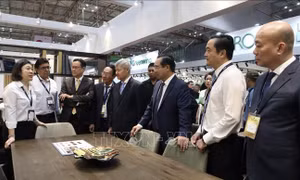 HawaExpo 2026 tăng quy mô gấp ba lần so với kỳ tổ chức trước