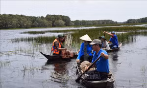Ramsar Tràm Chim quyến rũ vào mùa nước nổi