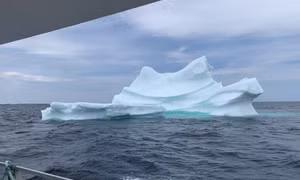 Twillingate - điểm hẹn ngắm băng trôi và cá voi ở Canada