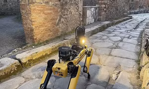 Thành phố cổ Italy 'tuyển' robot chó để chống kẻ săn trộm