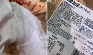 Nghi vấn phát hiện răng người trong nhân bánh trung thu tại Trung Quốc