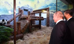 Tổng thống Putin ngắm gấu trúc cùng Chủ tịch Tập Cận Bình