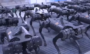 Video dàn robot Trung Quốc khiến cộng đồng mạng xôn xao